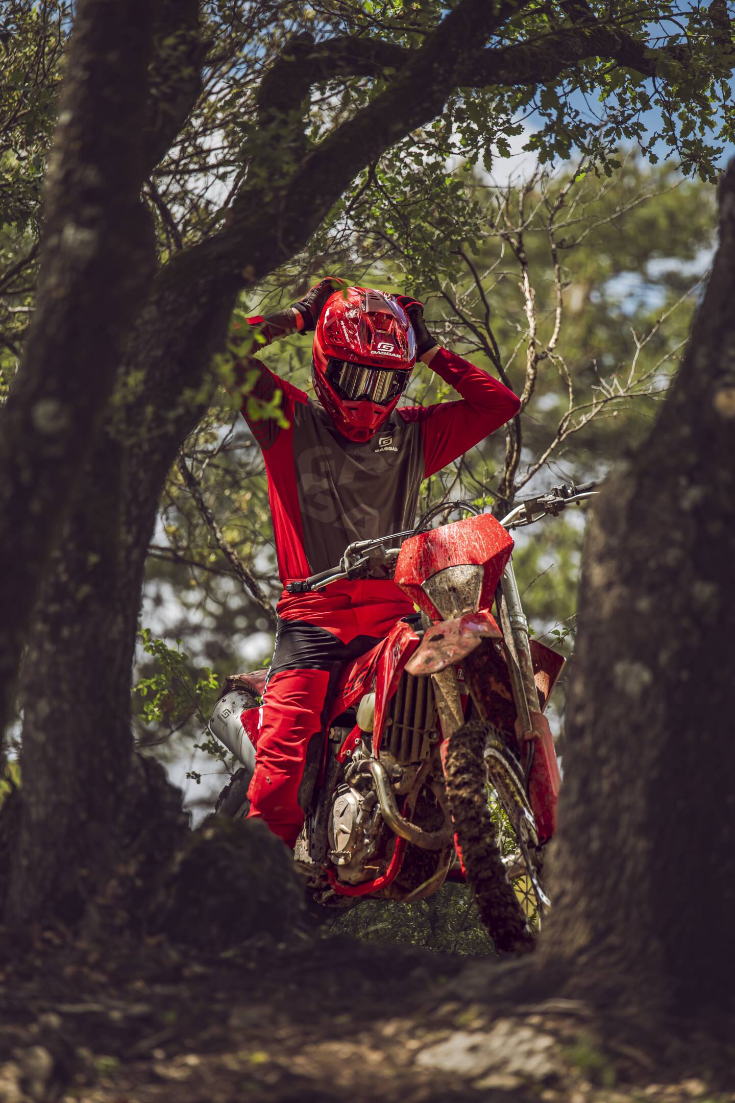 Summer Sales fino al -20%