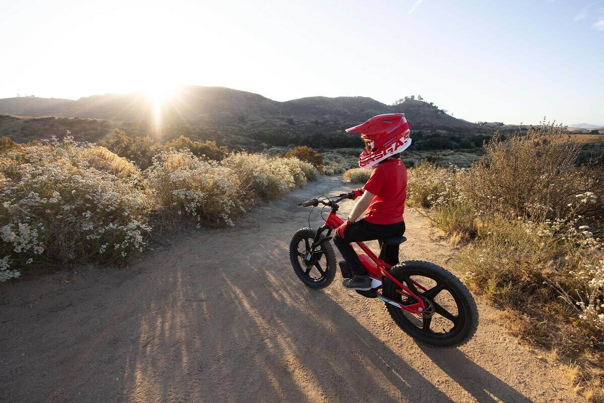 GASGAS EDRIVE 1.20 ora a €1.950:  Il primo giro non si scorda mai!