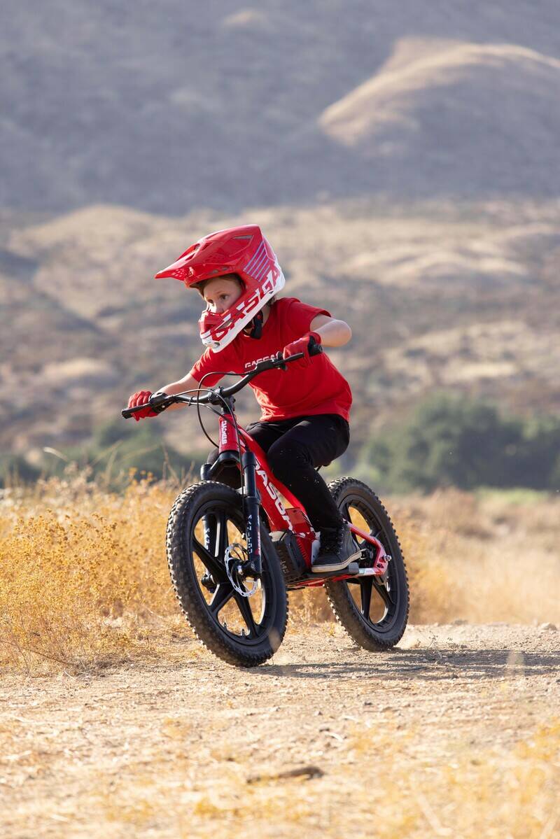 GASGAS EDRIVE 1.20 ora a €1.950:  Il primo giro non si scorda mai!