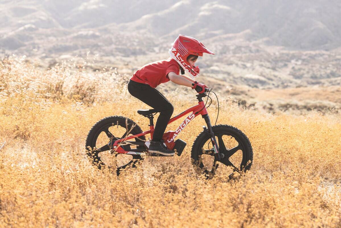 GASGAS EDRIVE 1.20 ora a €1.950:  Il primo giro non si scorda mai!